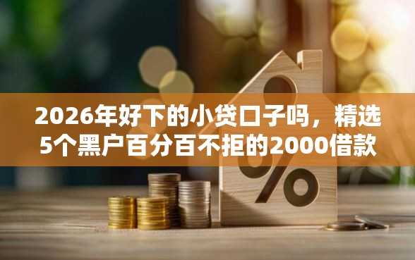 2026年好下的小贷口子吗，精选5个黑户百分百不拒的2000借款口子