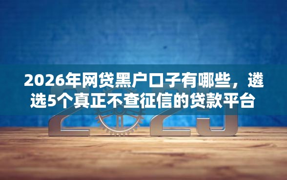 2026年网贷黑户口子有哪些，遴选5个真正不查征信的贷款平台