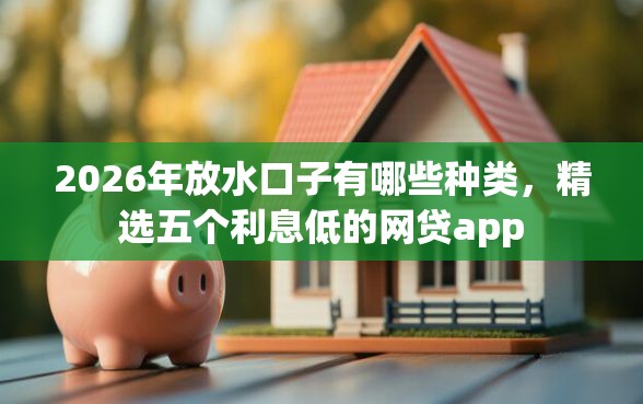 2026年放水口子有哪些种类，精选五个利息低的网贷app
