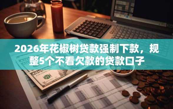 2026年花椒树贷款强制下款，规整5个不看欠款的贷款口子