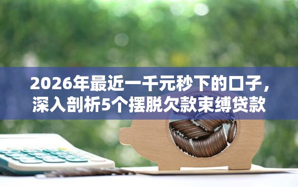 2026年最近一千元秒下的口子，深入剖析5个摆脱欠款束缚贷款新软件