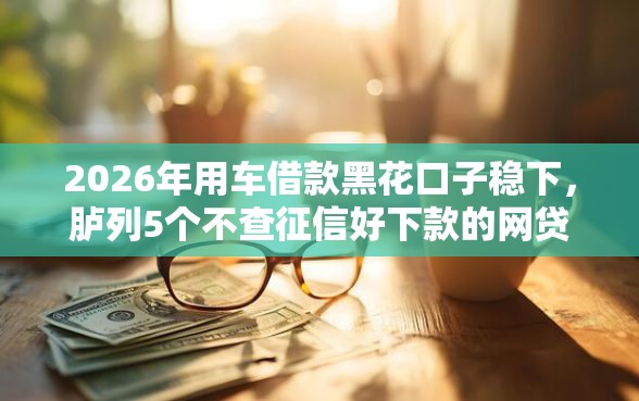2026年用车借款黑花口子稳下，胪列5个不查征信好下款的网贷平台