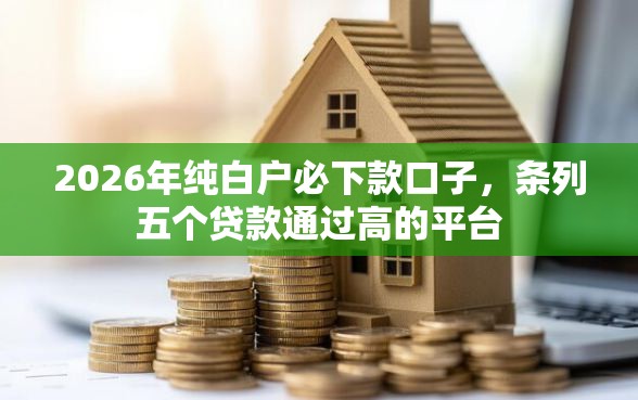 2026年纯白户必下款口子，条列五个贷款通过高的平台