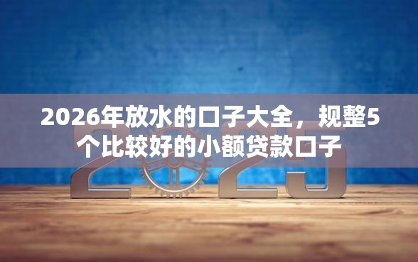 2026年放水的口子大全，规整5个比较好的小额贷款口子