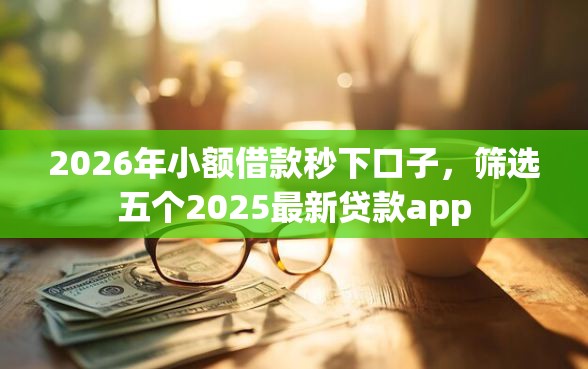 2026年小额借款秒下口子，筛选五个2025最新贷款app