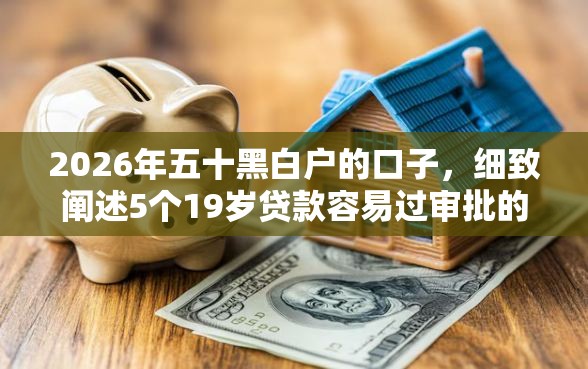 2026年五十黑白户的口子，细致阐述5个19岁贷款容易过审批的口子