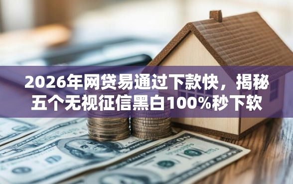 2026年网贷易通过下款快，揭秘五个无视征信黑白100%秒下软件