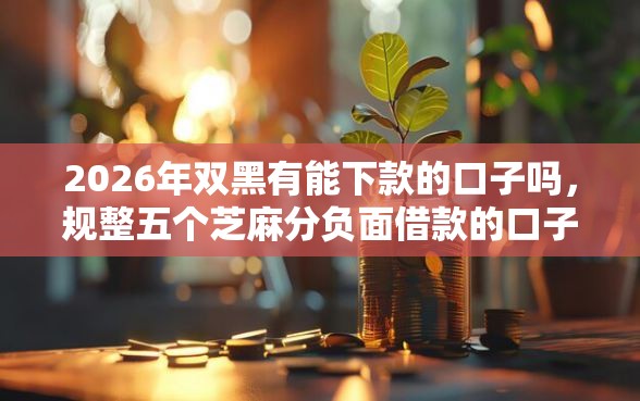 2026年双黑有能下款的口子吗，规整五个芝麻分负面借款的口子