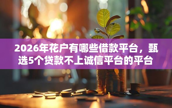 2026年花户有哪些借款平台，甄选5个贷款不上诚信平台的平台