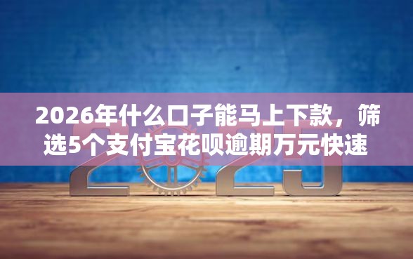 2026年什么口子能马上下款，筛选5个支付宝花呗逾期万元快速贷款软件