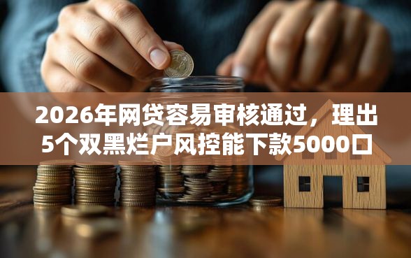 2026年网贷容易审核通过，理出5个双黑烂户风控能下款5000口子