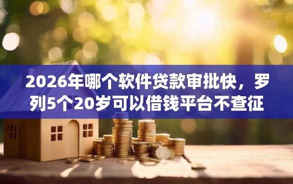 2026年哪个软件贷款审批快，罗列5个20岁可以借钱平台不查征信的app
