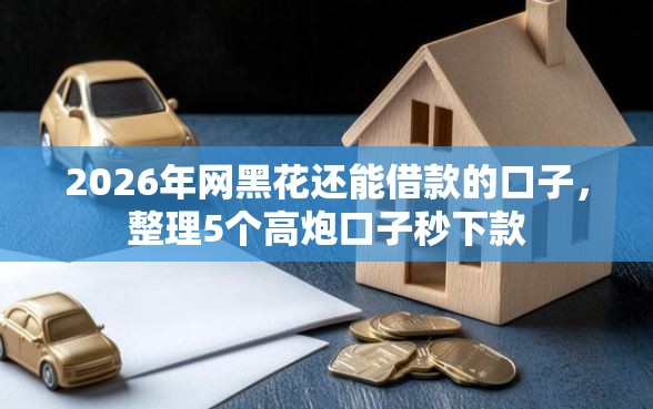 2026年网黑花还能借款的口子，整理5个高炮口子秒下款
