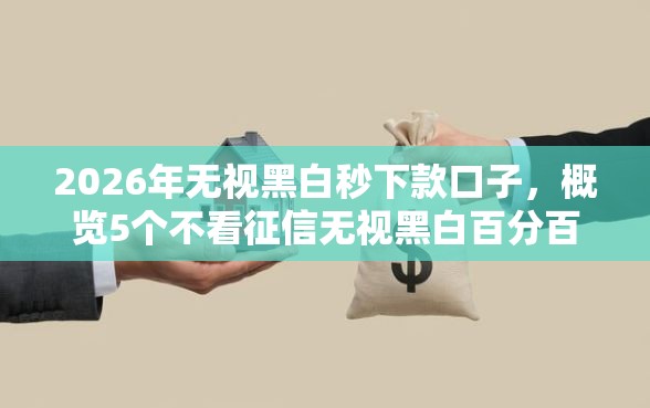 2026年无视黑白秒下款口子，概览5个不看征信无视黑白百分百下款软件