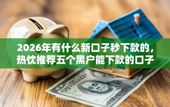 2026年有什么新口子秒下款的，热忱推荐五个黑户能下款的口子