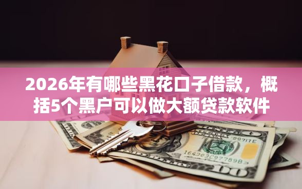 2026年有哪些黑花口子借款,概括5个黑户可以做大额贷款软件 2026年有哪些黑花口子借款,概括5个黑户可以做大额贷款软件