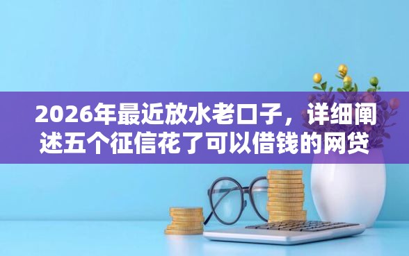 2026年最近放水老口子，详细阐述五个征信花了可以借钱的网贷平台