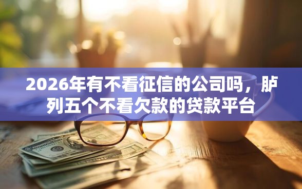 2026年有不看征信的公司吗，胪列五个不看欠款的贷款平台