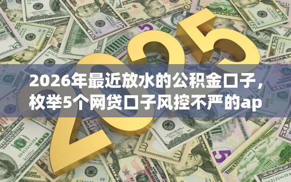2026年最近放水的公积金口子，枚举5个网贷口子风控不严的app