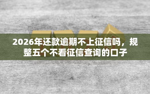 2026年还款逾期不上征信吗，规整五个不看征信查询的口子