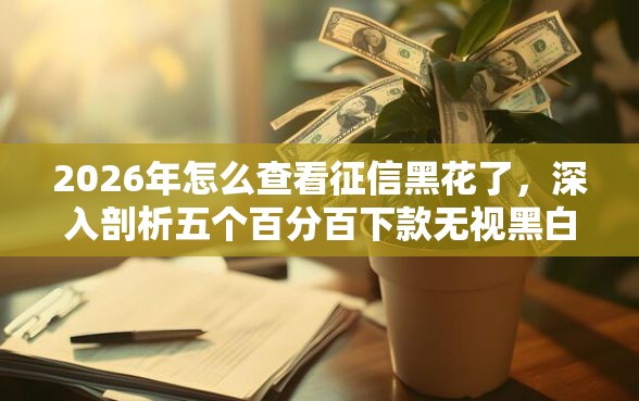 2026年怎么查看征信黑花了，深入剖析五个百分百下款无视黑白户口子