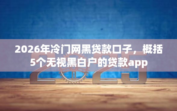 2026年冷门网黑贷款口子，概括5个无视黑白户的贷款app
