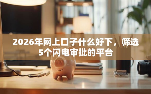 2026年网上口子什么好下，筛选5个闪电审批的平台