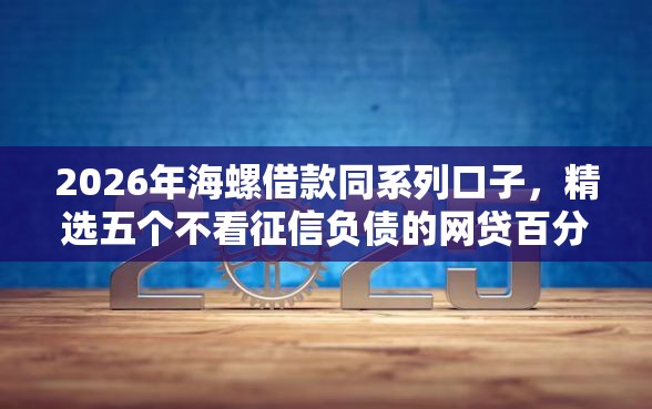 2026年海螺借款同系列口子，精选五个不看征信负债的网贷百分百下款平台