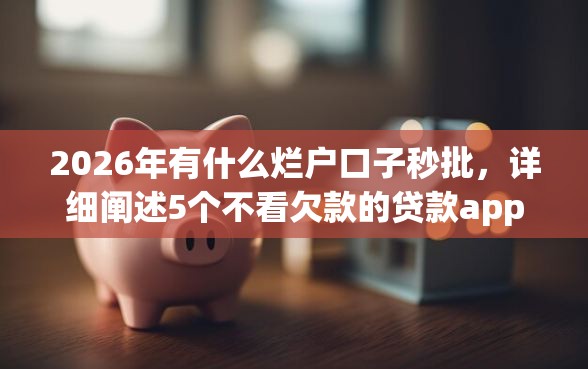 2026年有什么烂户口子秒批，详细阐述5个不看欠款的贷款app