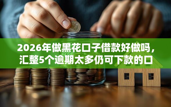 2026年做黑花口子借款好做吗，汇整5个逾期太多仍可下款的口子