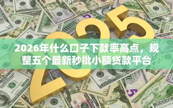 2026年什么口子下款率高点，规整五个最新秒批小额贷款平台