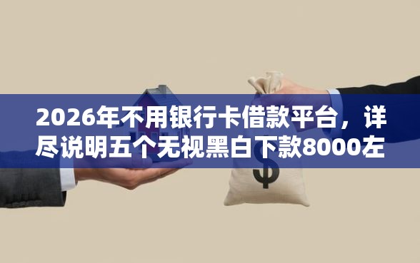 2026年不用银行卡借款平台，详尽说明五个无视黑白下款8000左右的口子