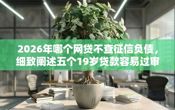 2026年哪个网贷不查征信负债，细致阐述五个19岁贷款容易过审批的软件
