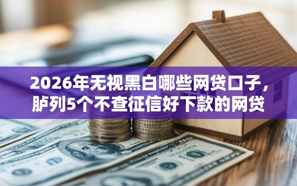 2026年无视黑白哪些网贷口子，胪列5个不查征信好下款的网贷平台