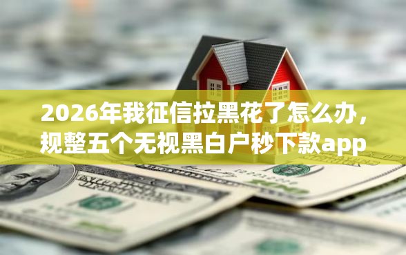 2026年我征信拉黑花了怎么办，规整五个无视黑白户秒下款app