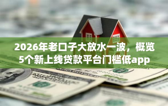 2026年老口子大放水一波，概览5个新上线贷款平台门槛低app