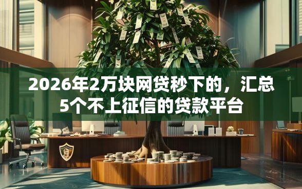 2026年2万块网贷秒下的，汇总5个不上征信的贷款平台