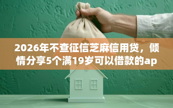 2026年不查征信芝麻信用贷，倾情分享5个满19岁可以借款的app