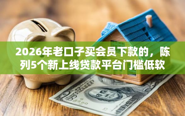 2026年老口子买会员下款的，陈列5个新上线贷款平台门槛低软件