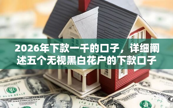 2026年下款一千的口子，详细阐述五个无视黑白花户的下款口子