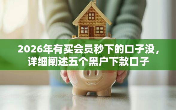 2026年有买会员秒下的口子没，详细阐述五个黑户下款口子