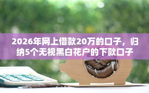 2026年网上借款20万的口子，归纳5个无视黑白花户的下款口子