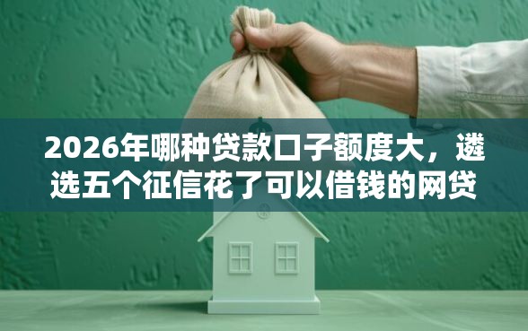 2026年哪种贷款口子额度大，遴选五个征信花了可以借钱的网贷平台