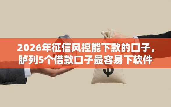 2026年征信风控能下款的口子，胪列5个借款口子最容易下软件