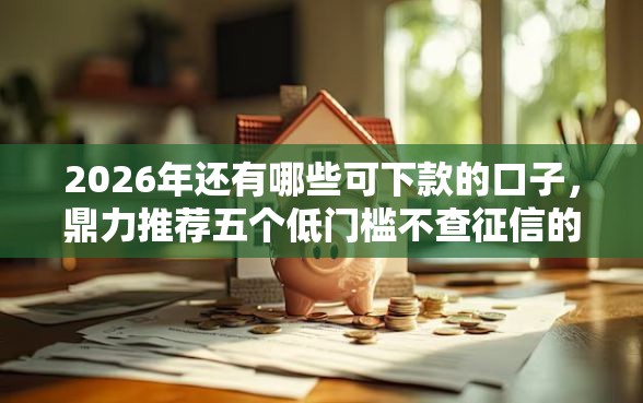 2026年还有哪些可下款的口子，鼎力推荐五个低门槛不查征信的口子
