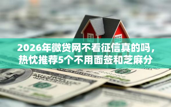 2026年微贷网不看征信真的吗，热忱推荐5个不用面签和芝麻分的贷款口子