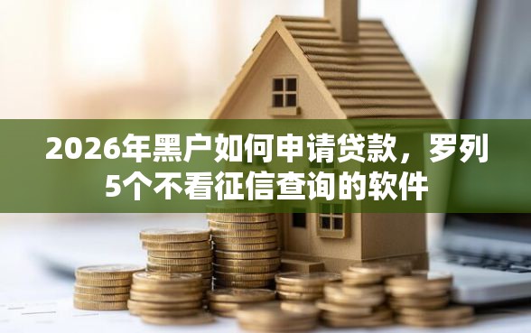 2026年黑户如何申请贷款，罗列5个不看征信查询的软件