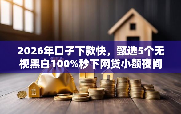 2026年口子下款快，甄选5个无视黑白100%秒下网贷小额夜间口子