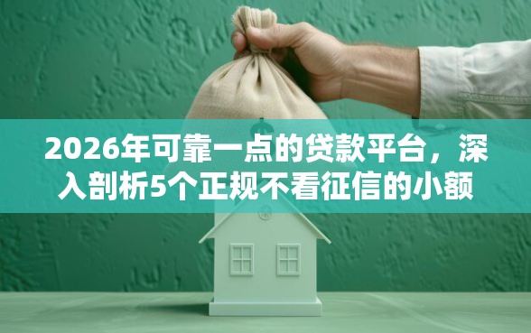 2026年可靠一点的贷款平台，深入剖析5个正规不看征信的小额贷款平台