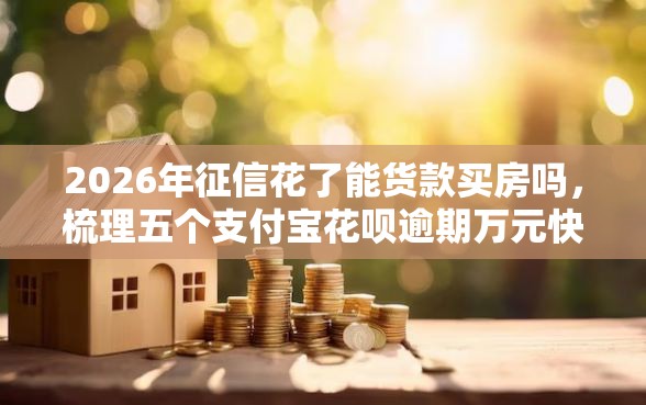 2026年征信花了能货款买房吗，梳理五个支付宝花呗逾期万元快速贷款平台